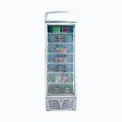 Upright Display Freezer - 480L - 1 Door - Flat Glass - HospoStore